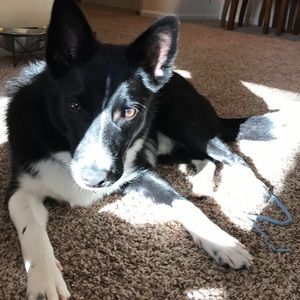 Meet your Posher, Courtney